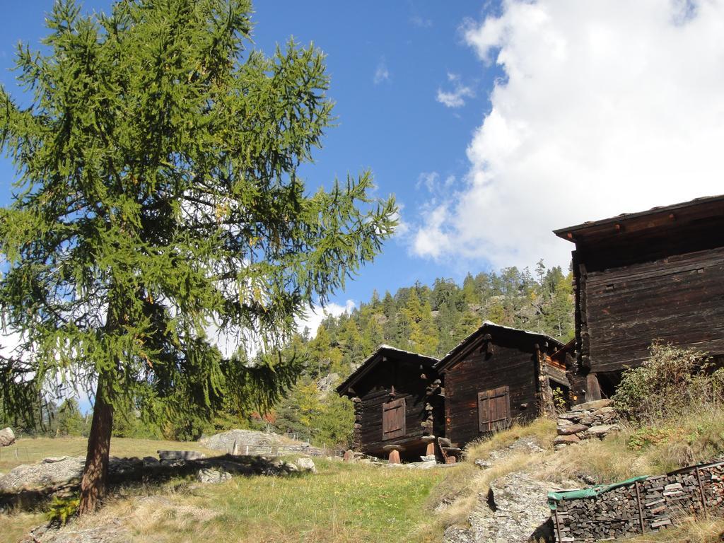 Haus Alpenstern Lejlighed Saas-Grund Eksteriør billede