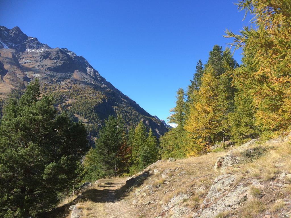 Haus Alpenstern Lejlighed Saas-Grund Eksteriør billede