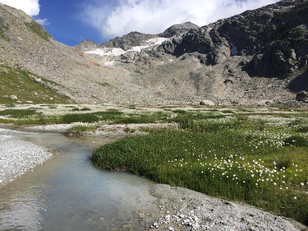 Haus Alpenstern Lejlighed Saas-Grund Eksteriør billede