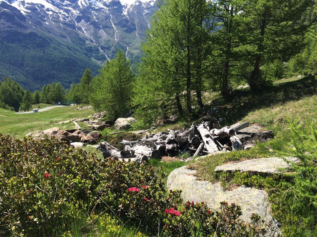 Haus Alpenstern Lejlighed Saas-Grund Eksteriør billede