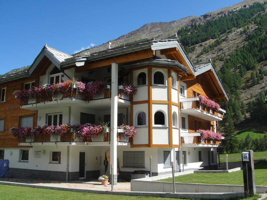 Haus Alpenstern Lejlighed Saas-Grund Eksteriør billede